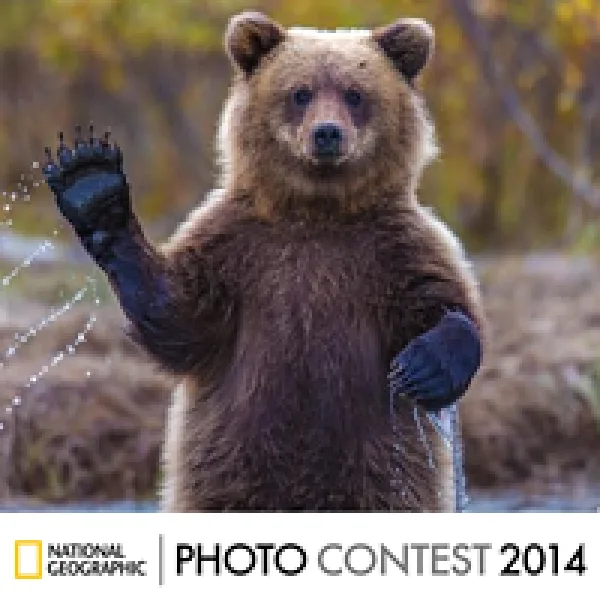 National Geographic Photography Contest 2014 artwork