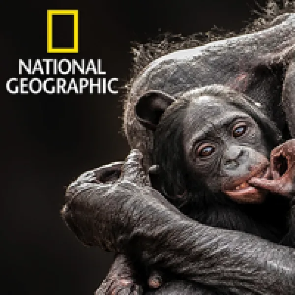 National Geographic Traveler Photo Contest 2014 artwork
