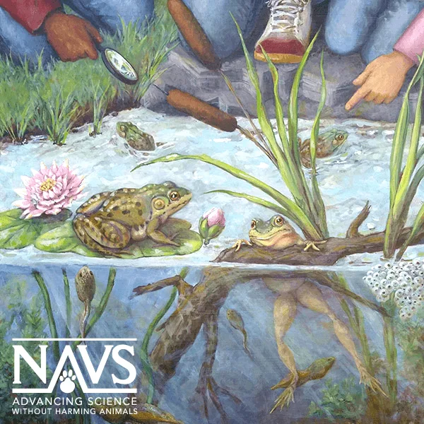 NAVS' Art For Animals Contest 2019 artwork