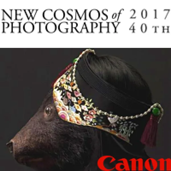New Cosmos Of Photography 2017 artwork