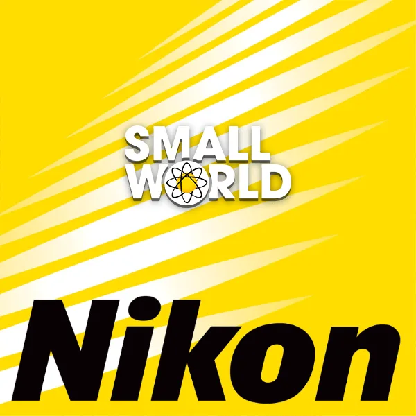 Nikon Small World 2022 Competition artwork