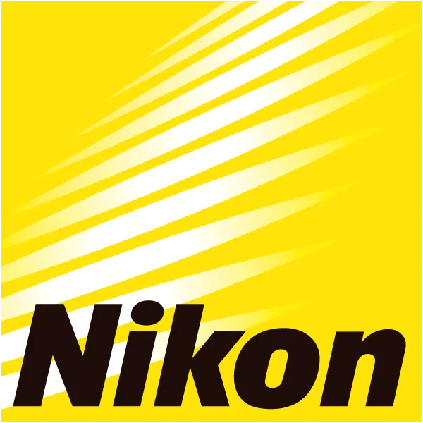 Nikon Storytellers Scholarship For Visual Creators artwork