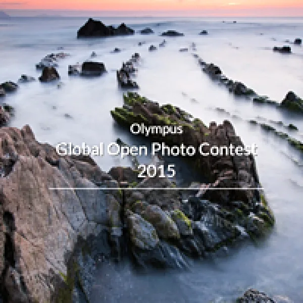 Olympus Global Open Photo Contest 2015 artwork