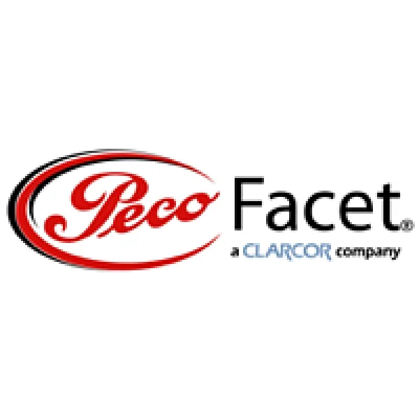 PECOFacet International Painting Competition artwork