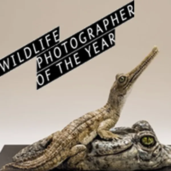 Photographer Of The Year Trophy Commission artwork