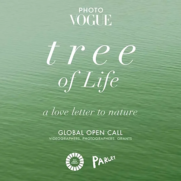 PhotoVogue Global Open Call 2024 artwork