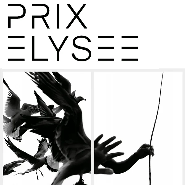 Prix ElysÃ©e 2018-2020 artwork