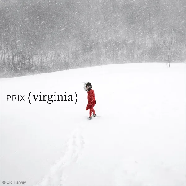 Prix {virginia} Photography Prize For Women 2022 artwork