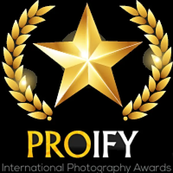 Proify International Photography Awards 2016 artwork