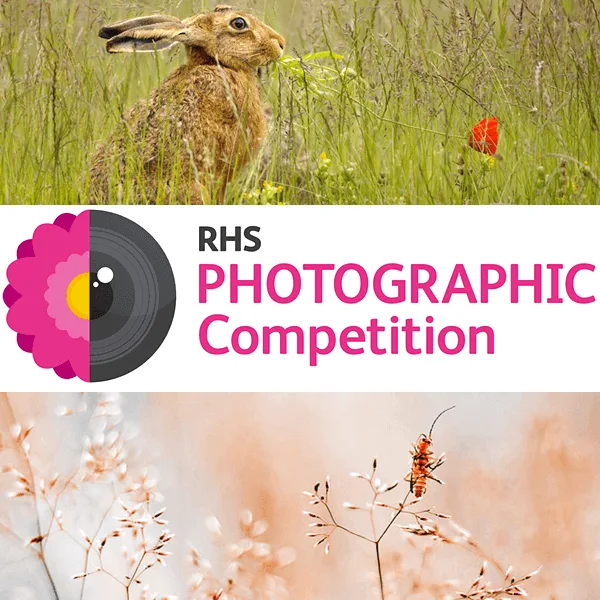 RHS Photographic Competition 2022 artwork
