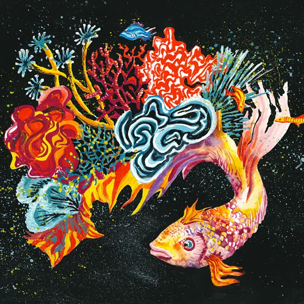 Science Without Borders Challenge 2019 artwork