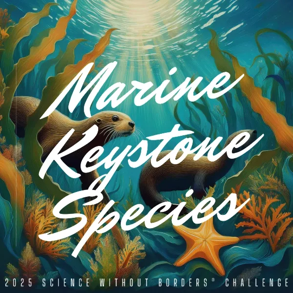 Science Without Borders Challenge 2025 artwork