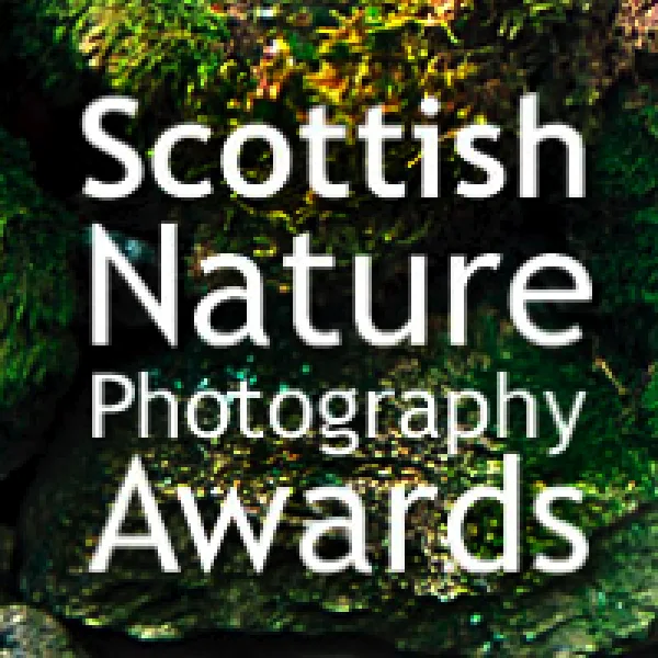 Scottish Nature Photography Awards artwork
