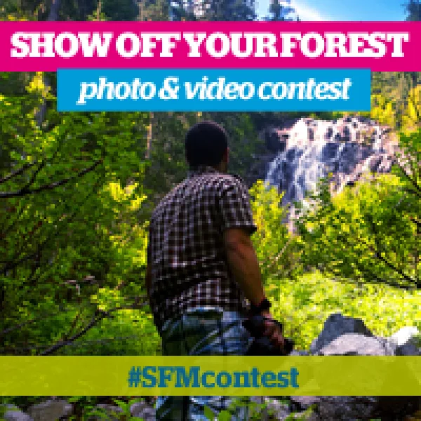Show Off Your Forest Photo Contest artwork