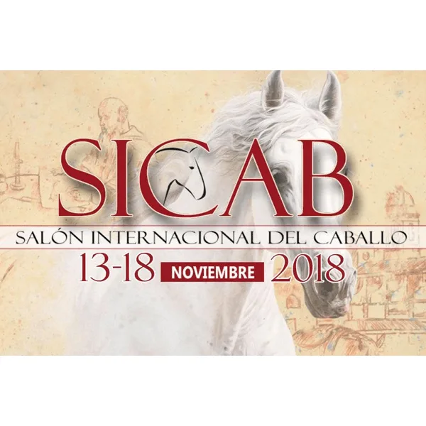 SICAB 2019 International Poster Contest artwork