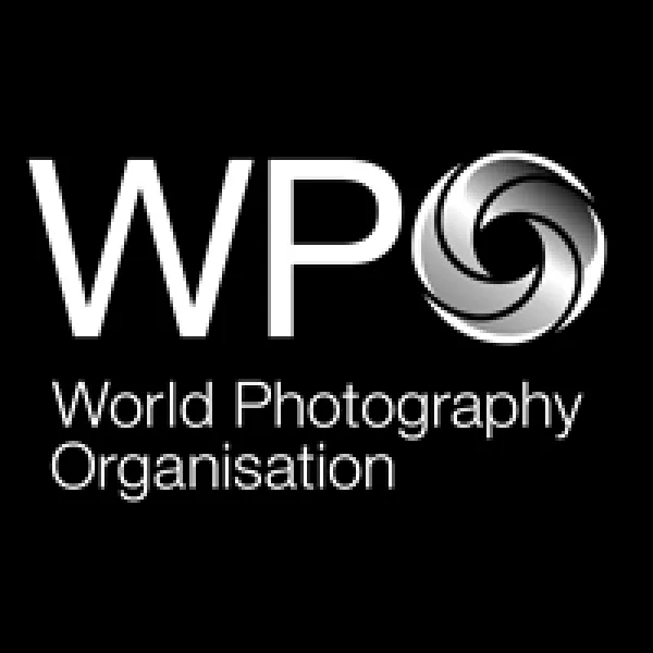 Sony World Photography Awards 2014 artwork
