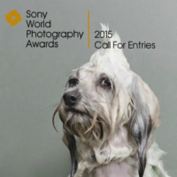 Sony World Photography Awards 2015 artwork