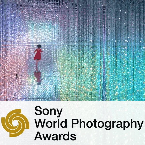 Sony World Photography Awards 2019 artwork
