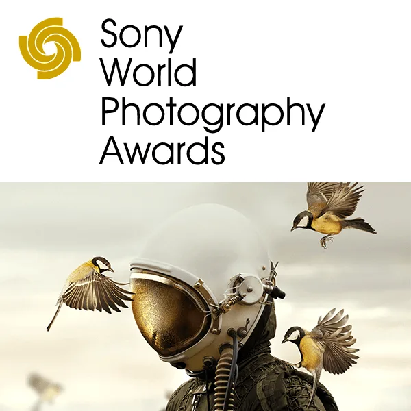Sony World Photography Awards 2020 artwork
