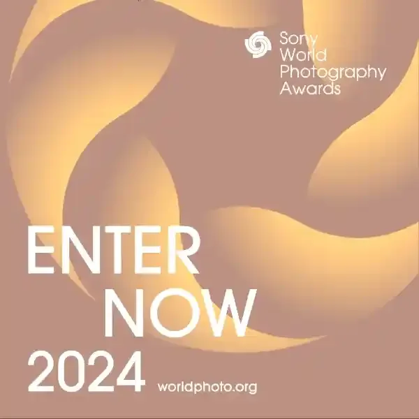 Sony World Photography Awards 2024 artwork