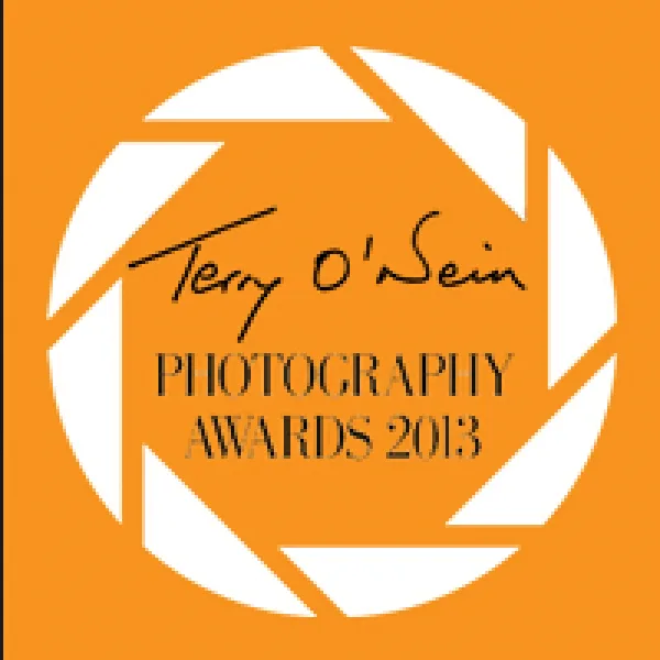Terry Oâ€™Neill Photography Award 2013 artwork