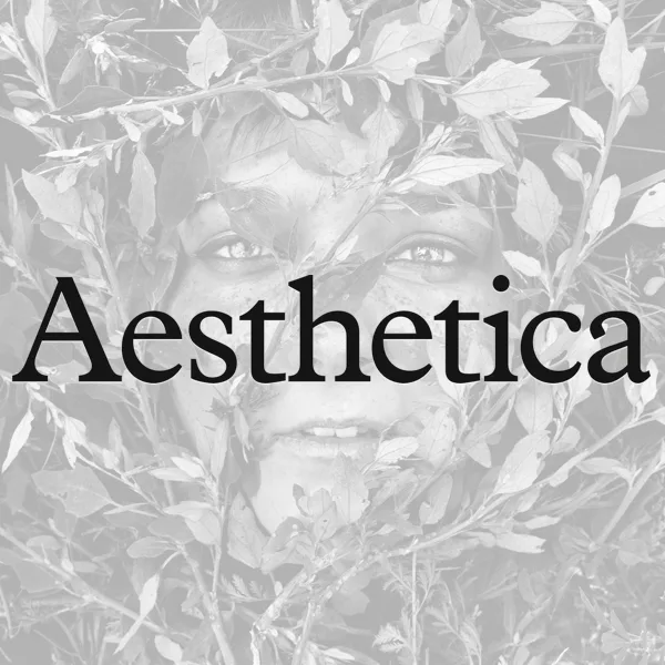 The Aesthetica Art Prize Competition 2019 artwork