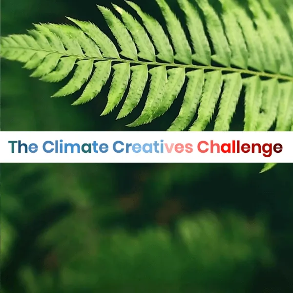 The Climate Creatives Challenge #2图片