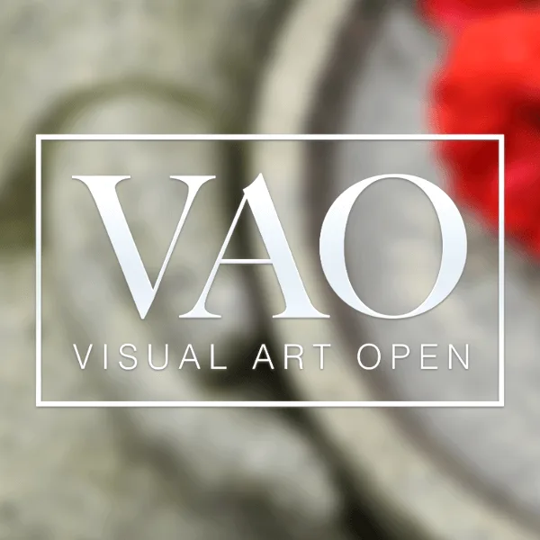 Visual Arts Open Prize 2021图片