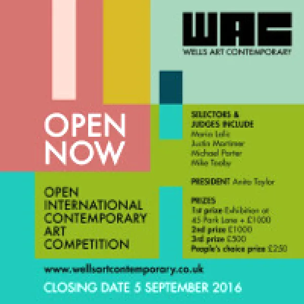Wells Art Contemporary Awards 2016 artwork