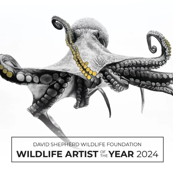 Wildlife Artist Of The Year 2024 artwork