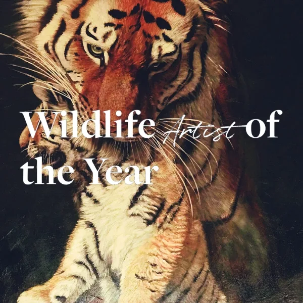 Wildlife Artist Of The Year 2026 artwork