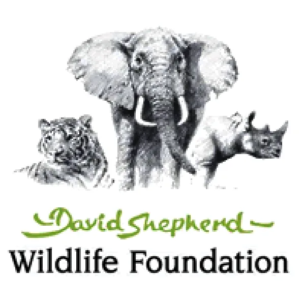 Wildlife Artist Of The Year Competition 2018 artwork