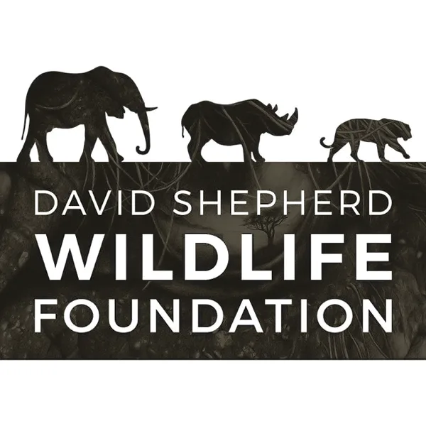 Wildlife Artist Of The Year Competition 2019 artwork