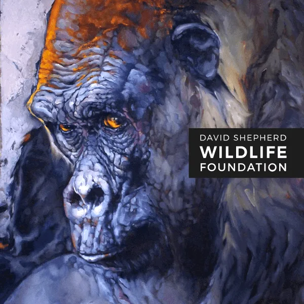 Wildlife Artist Of The Year Competition 2021 artwork