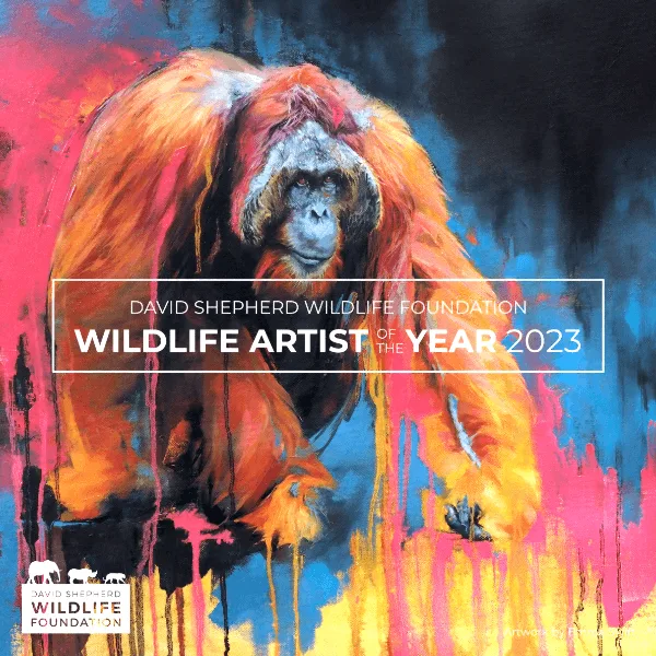 Wildlife Artist Of The Year Competition 2023图片