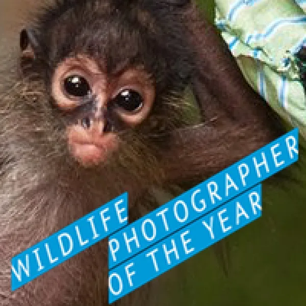 Wildlife Photographer Of The Year 2016 Competition artwork