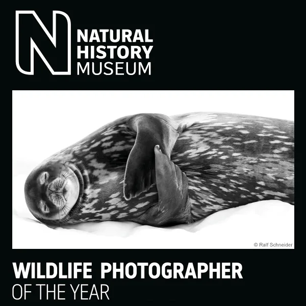Wildlife Photographer Of The Year 2021 artwork