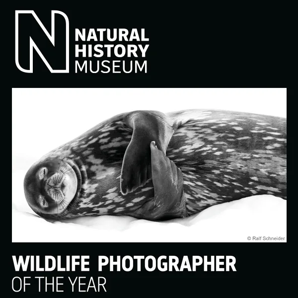 Wildlife Photographer Of The Year 2022 artwork
