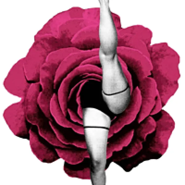 World Biennial Of Student Photography 2015 artwork