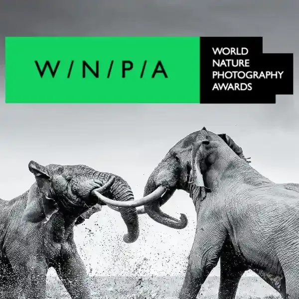 World Nature Photography Awards 2023 artwork