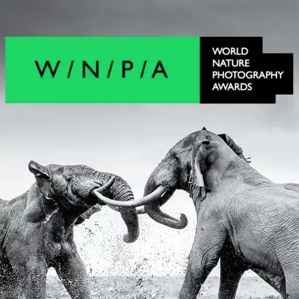 World Nature Photography Awards 2027 artwork