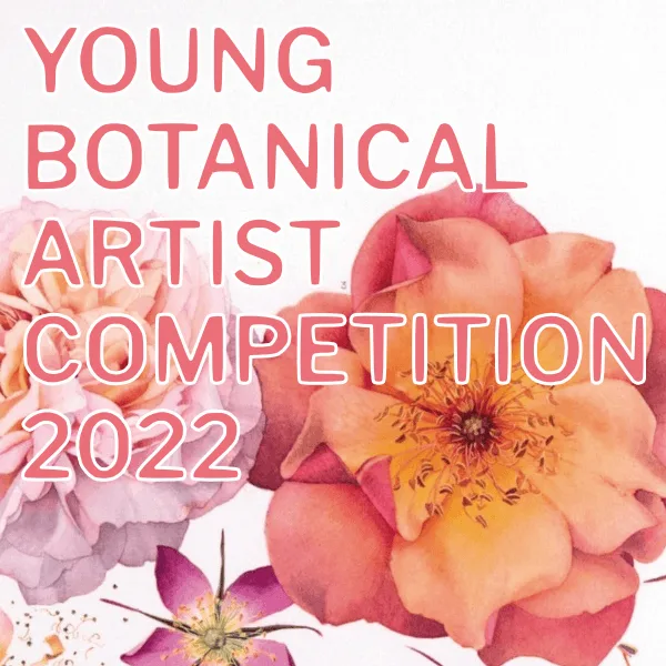 Young Botanical Artist Competition 2022图片