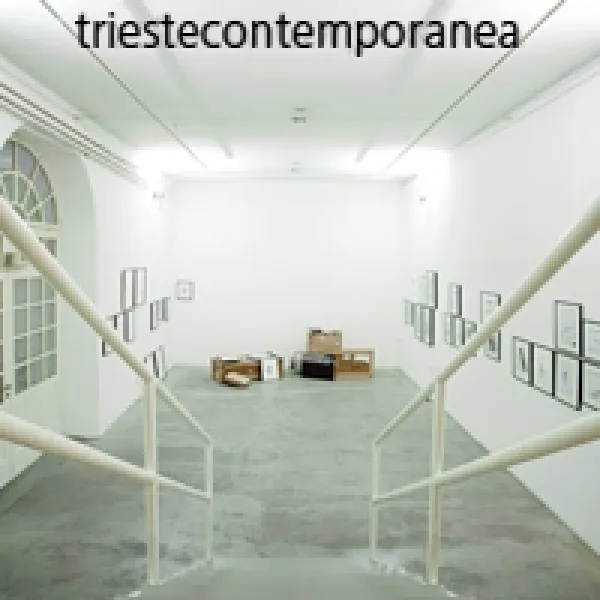 Young European Artist Trieste Contemporanea Award artwork